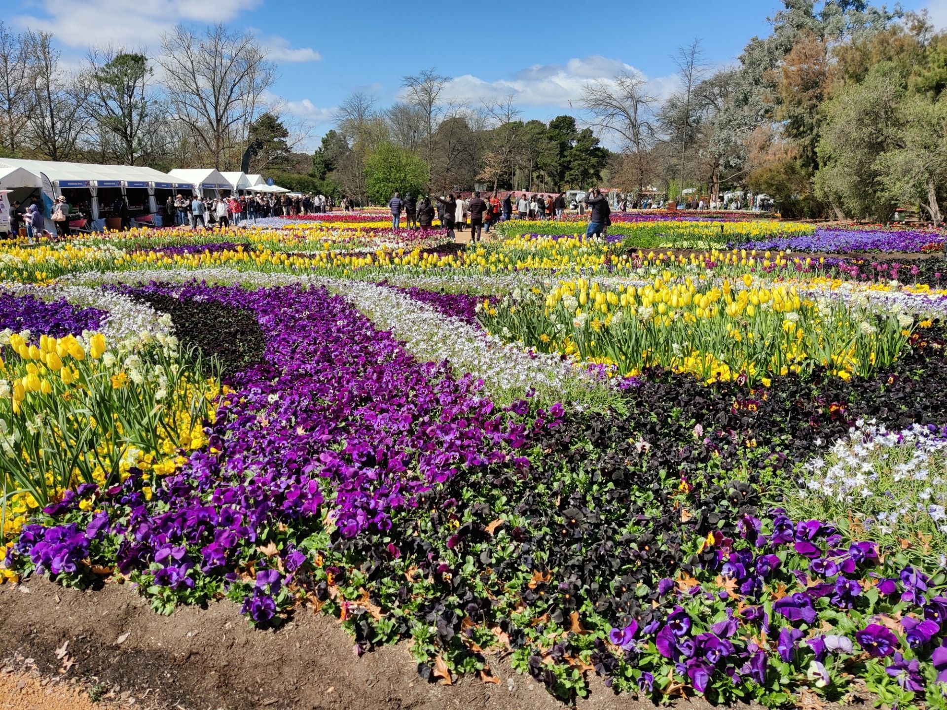 Floriade 2024: Canberra, AUSTRALIA.jpg