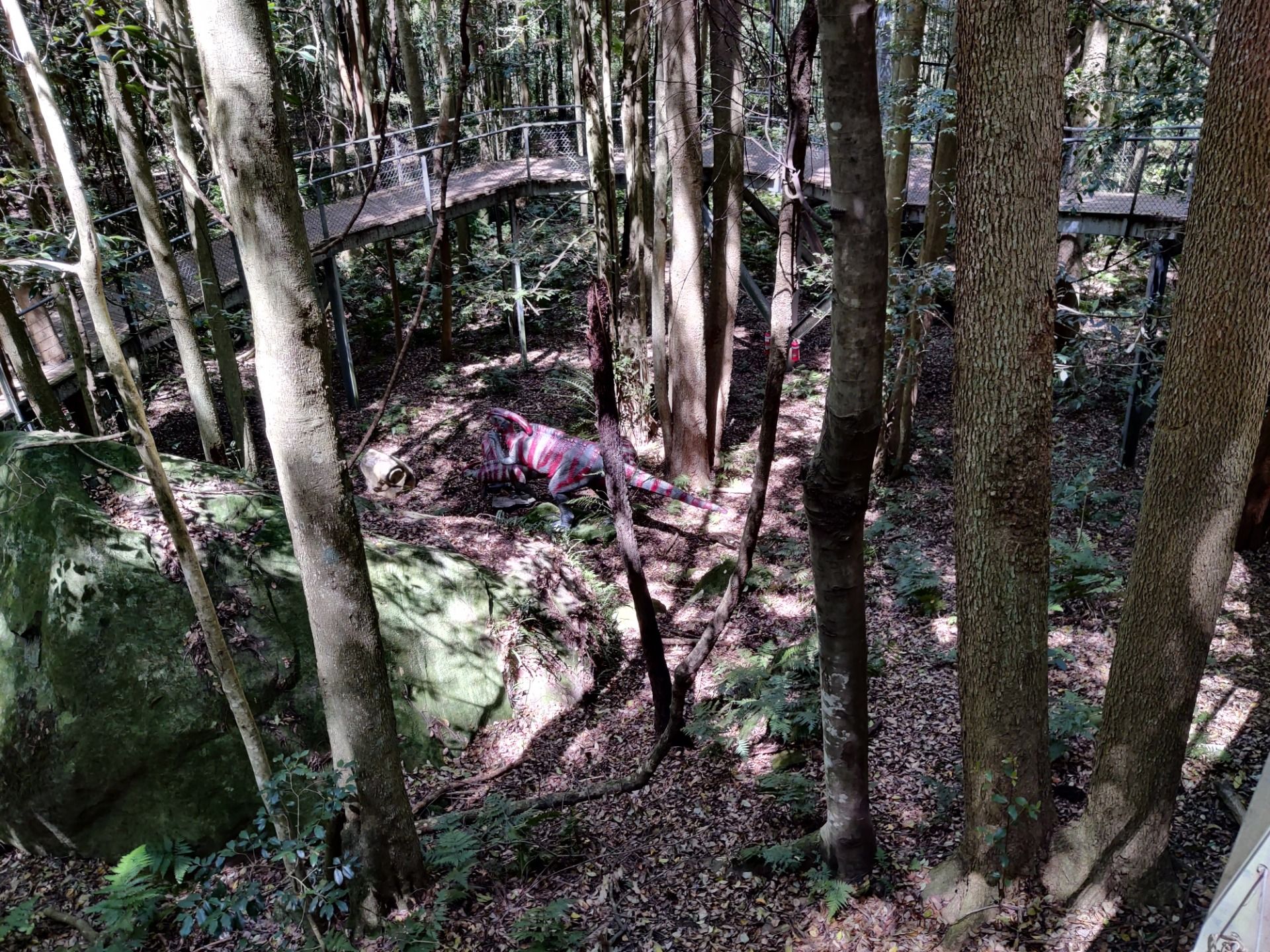 Scenic World: Katoomba, AUSTRALIA.jpg