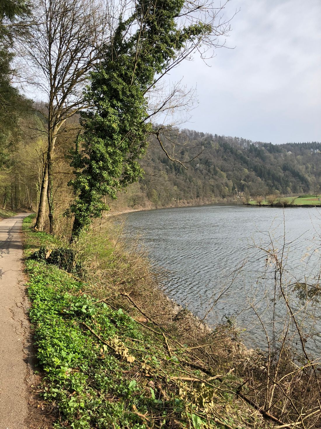 Narrow path and Neckar