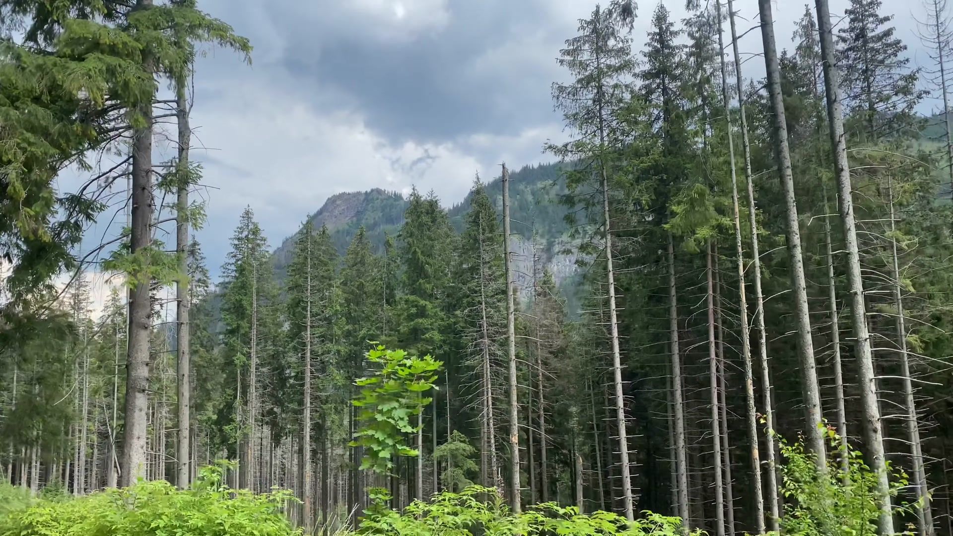 Journey to Zakopane and Morskie Oko, Poland