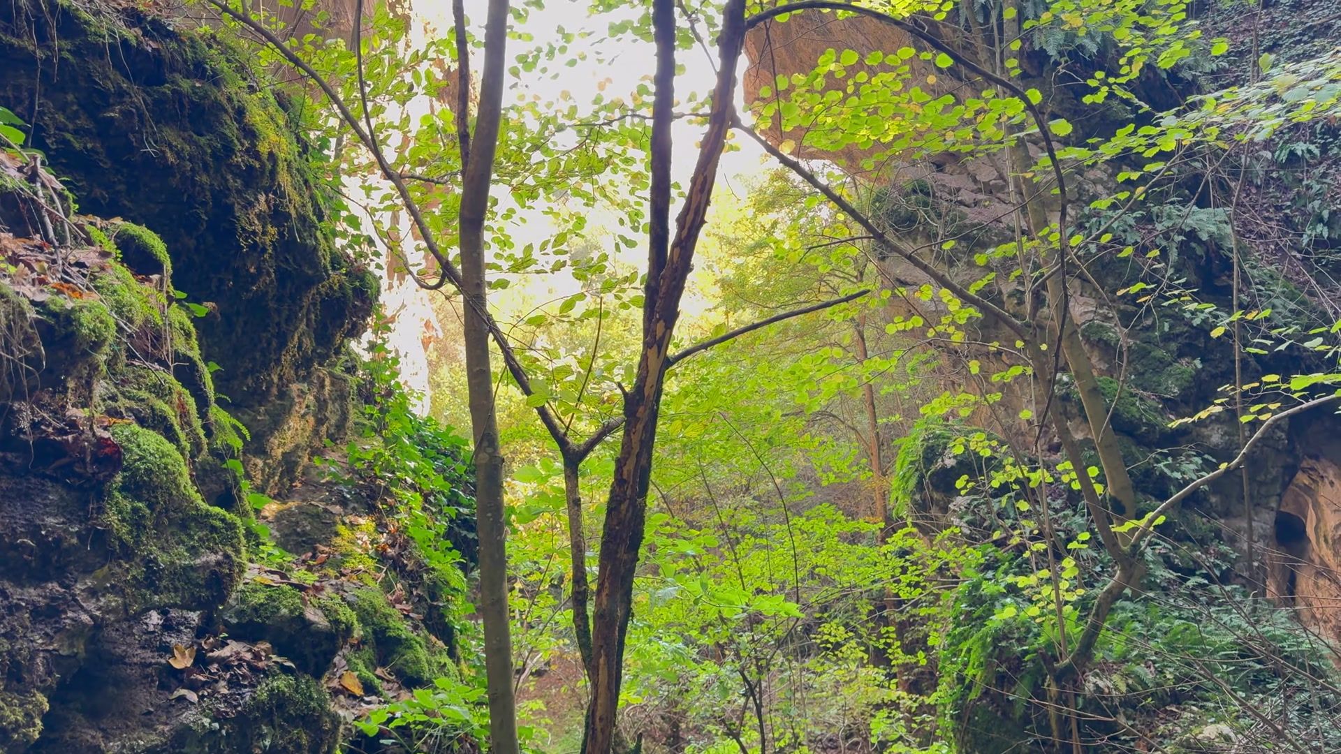 Serbia’s Hidden Wonder: Samar Cave and Sudvek Natural Bridge