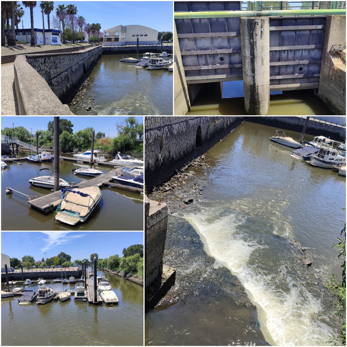 dam next to the pier.jpg