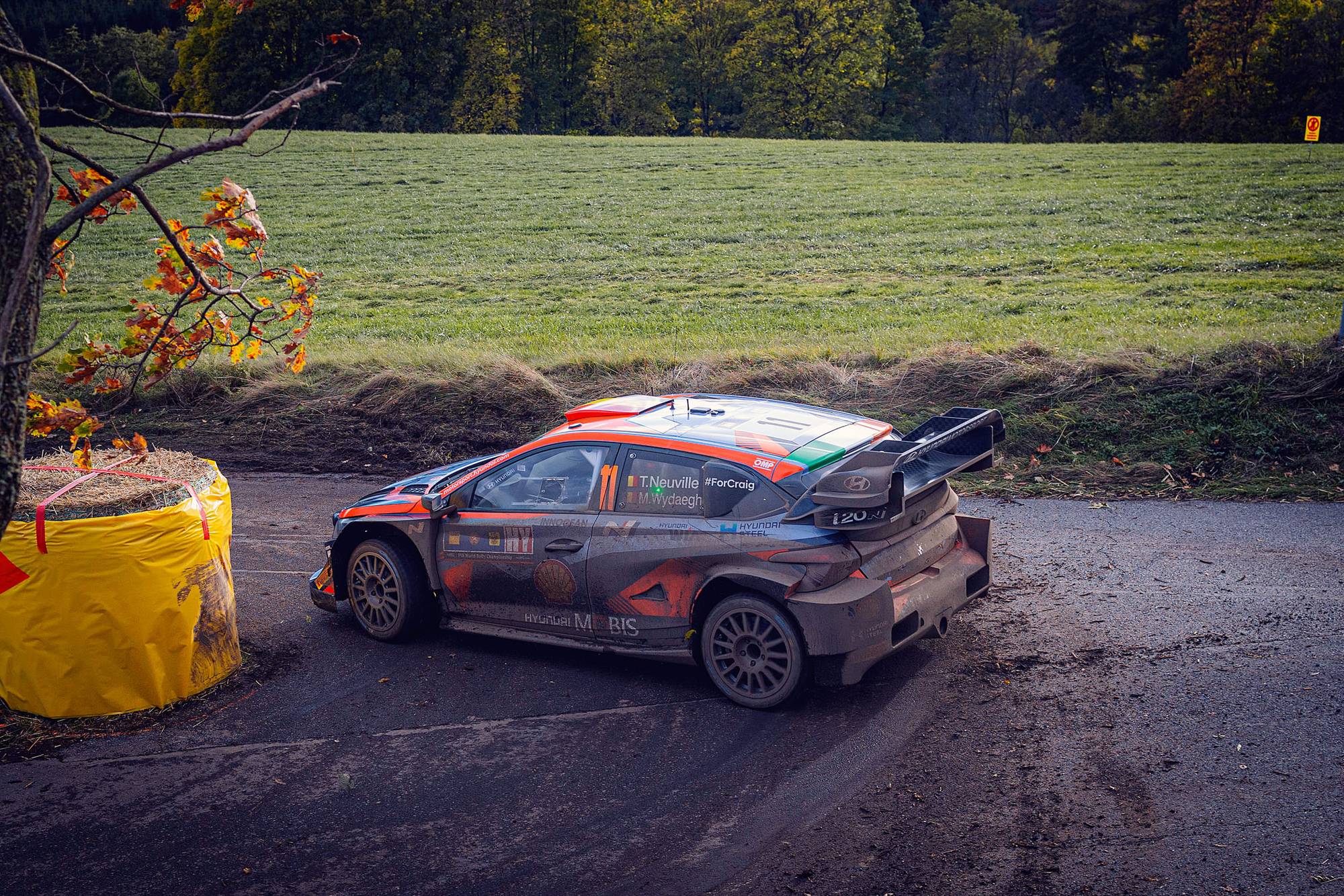 Thierry Neuville - WRC Central European Rally
