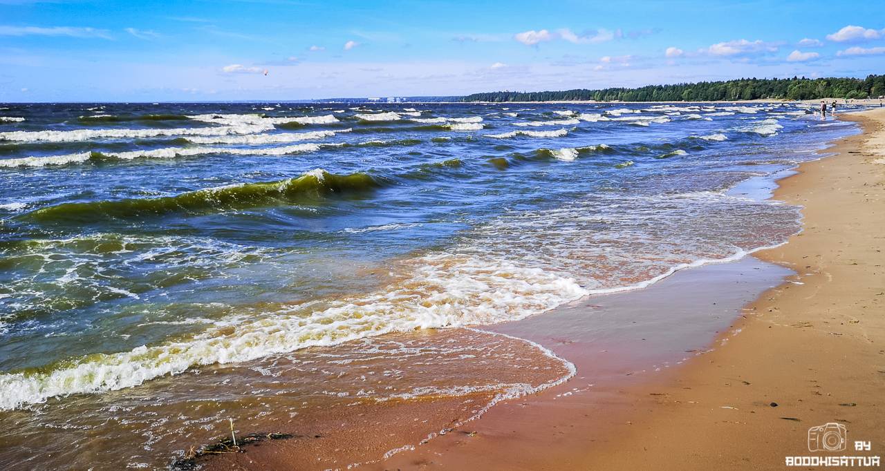 Windy summer day at the Gulf of Finland shore