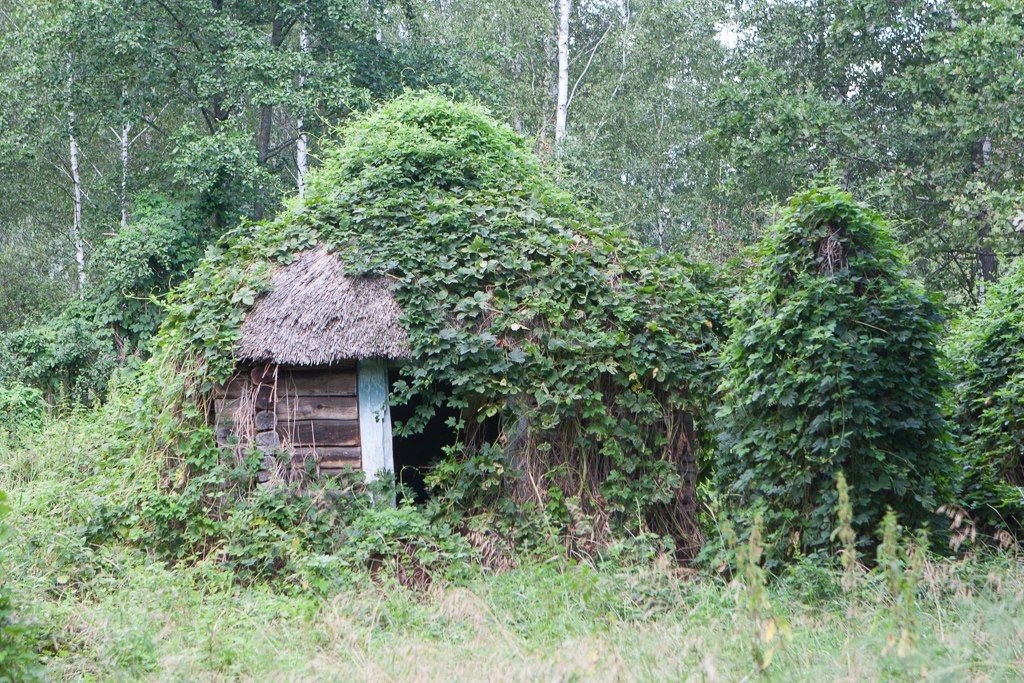 Trespassing Chernobyl: to the most remote villages!