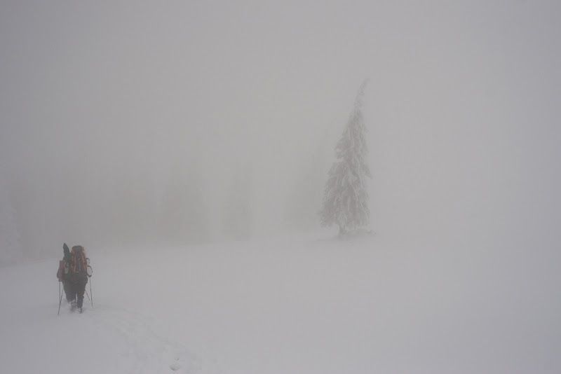 How to survive in winter Carpathian mountains