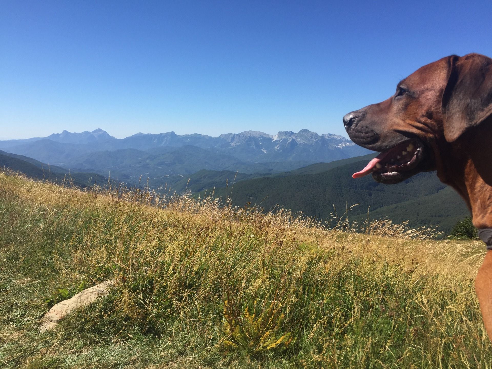 Mount Cusna