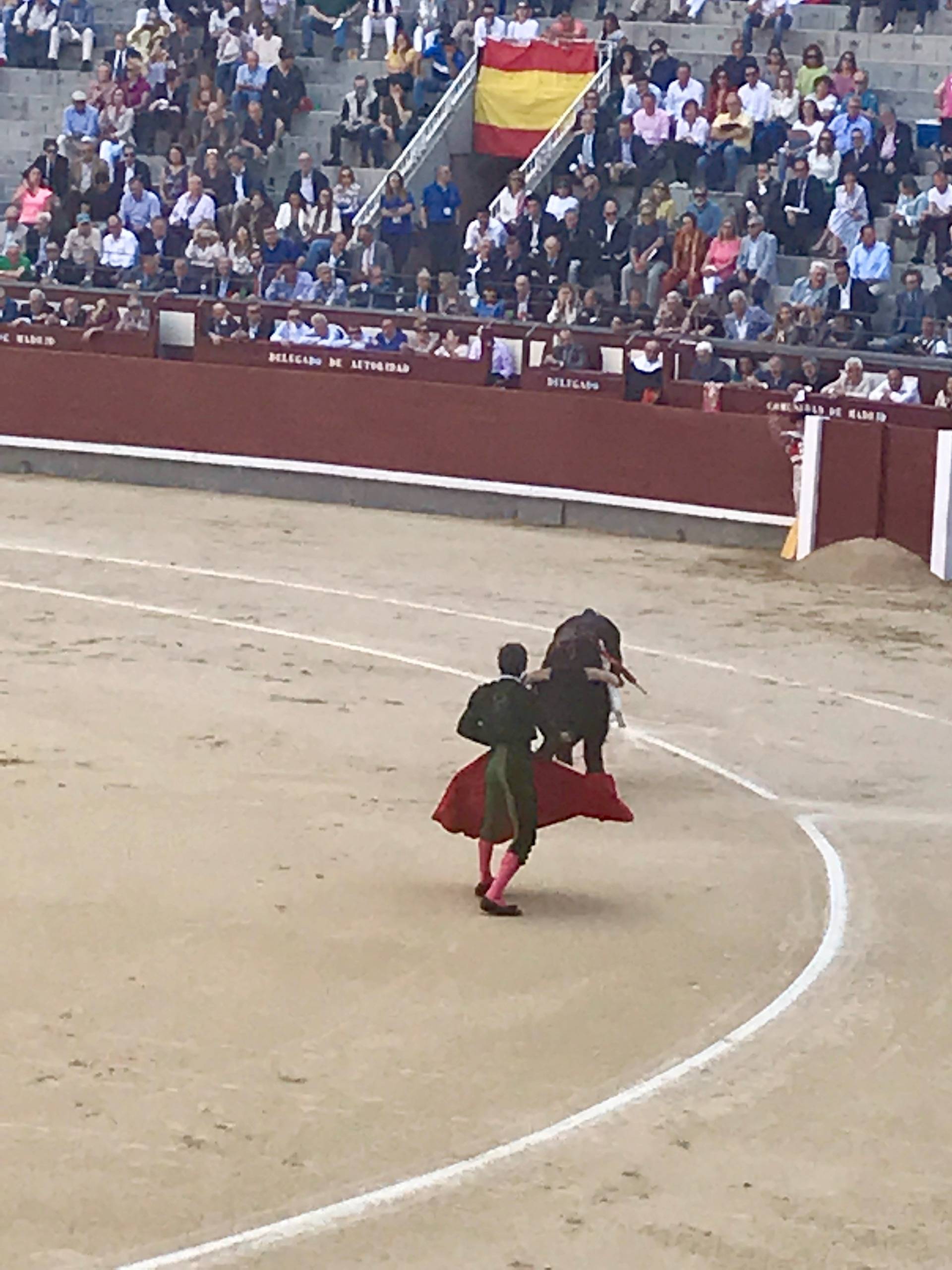 The Spectacle of the Bullfight in Madrid, Spain