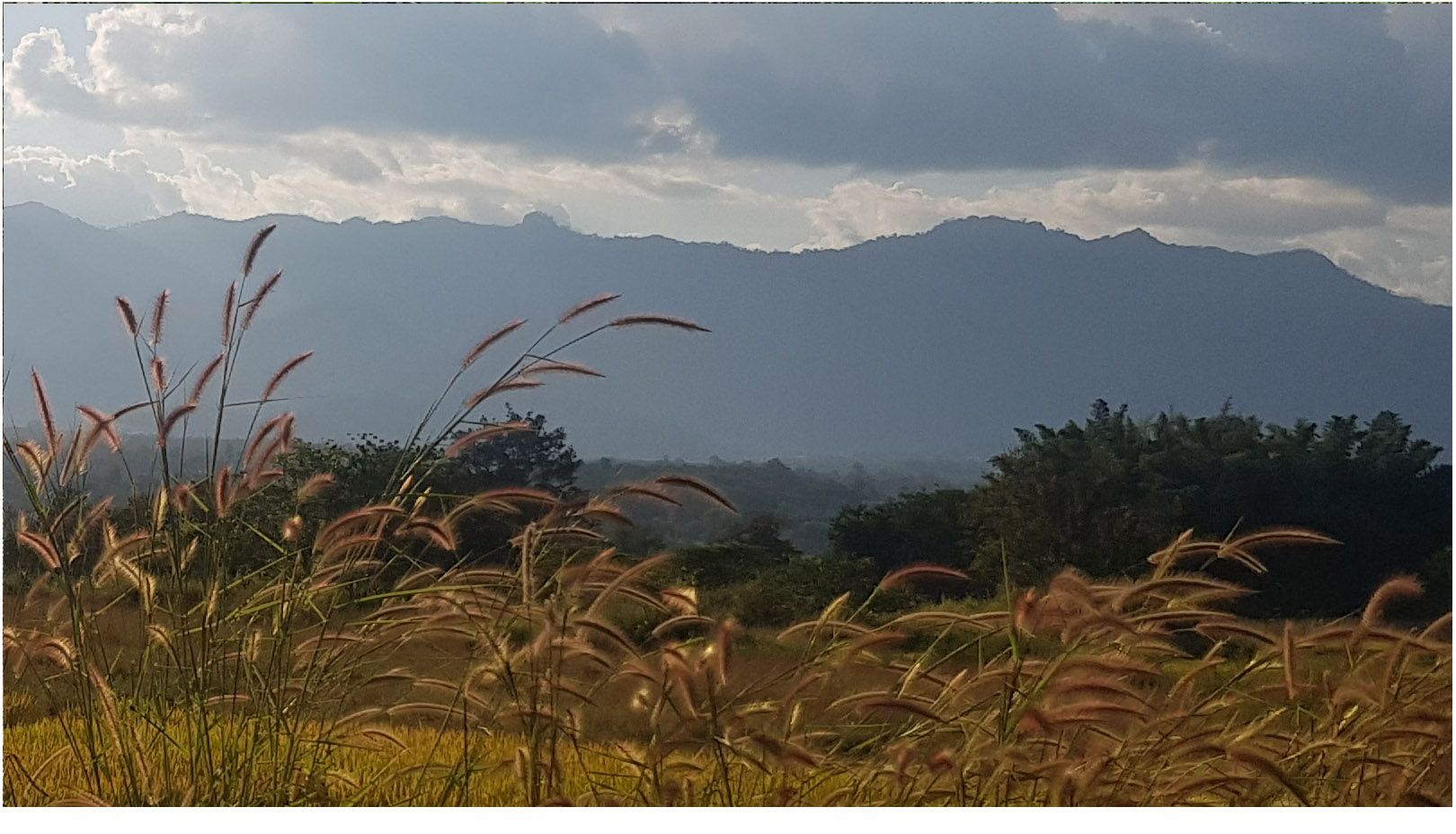 Back to Pai