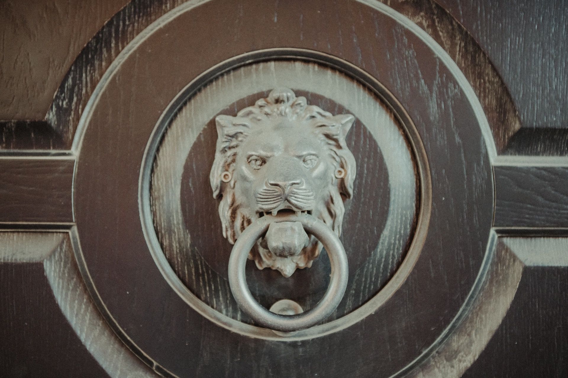 © 2019 @capitanonema. All rights reserved.