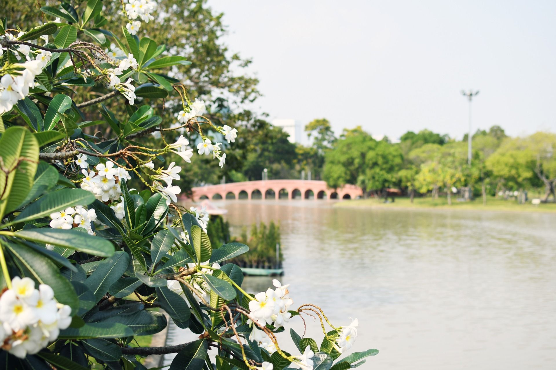  Chatuchuk Park And Weekend Market Bangkok 