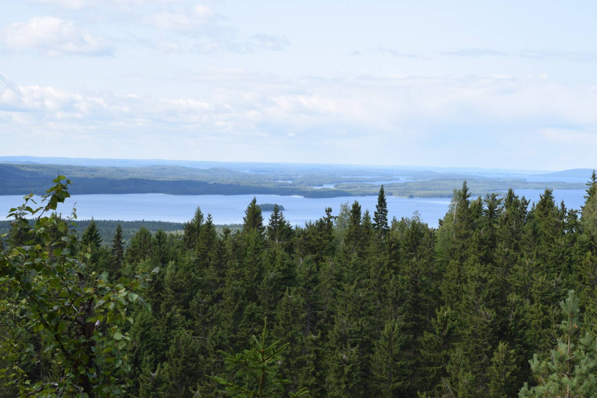 A view from Koli National Park