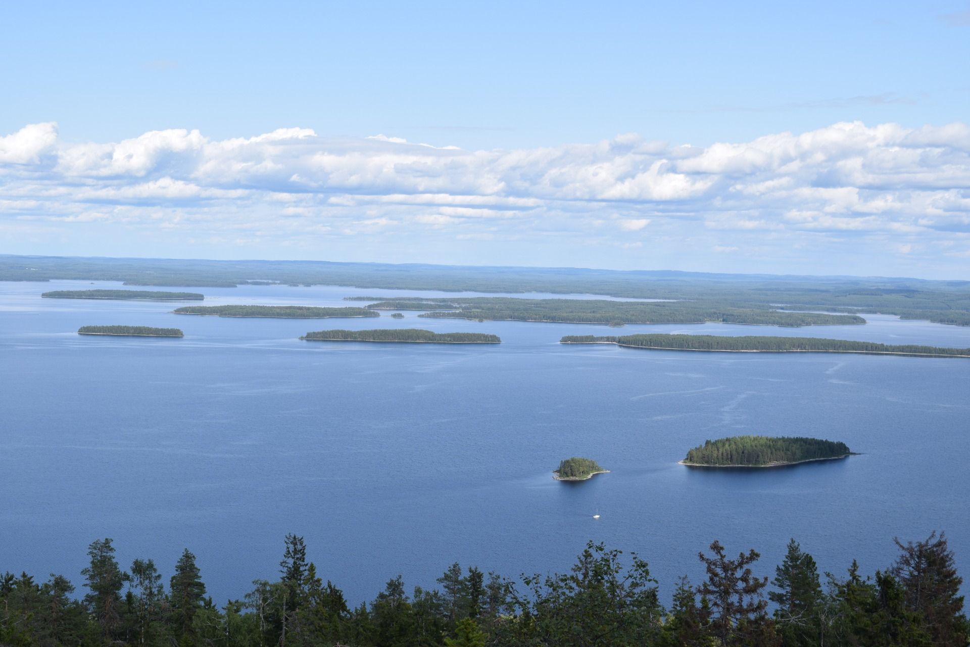 Koli National Park - Finland