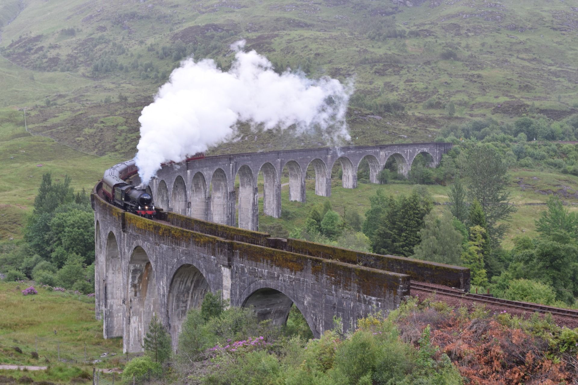 Checking out the Hogwarts Express