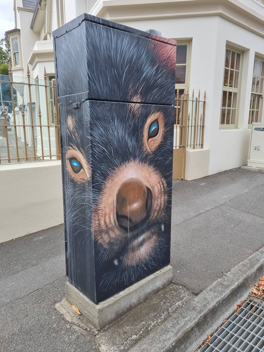 This is probably THE coolest traffic light control cabinet painting I’ve EVER seen! (This thing controls the traffic lights and in some towns/cities in Australia they paint them. But this one of the local and endangered Tasmanian Devil takes the cake!)