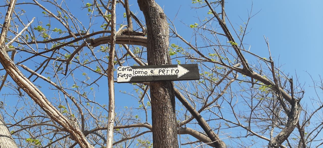 Sign: fire cutter dogs back