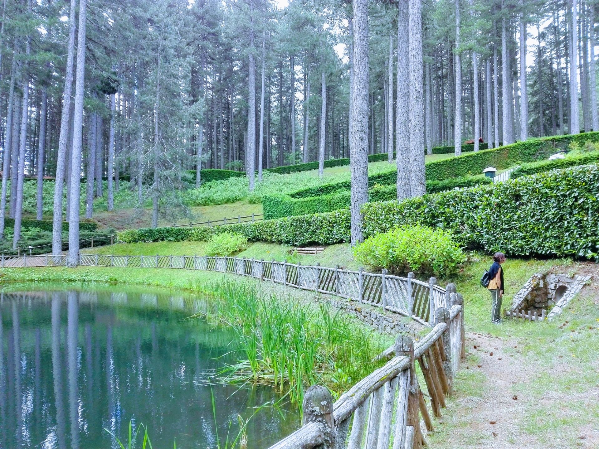 The enchanting Sila national park