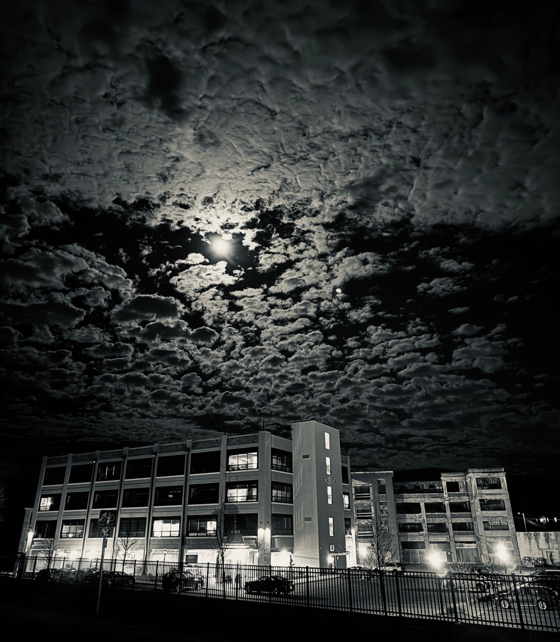 Monkey Run Morocco (January 2025): Background