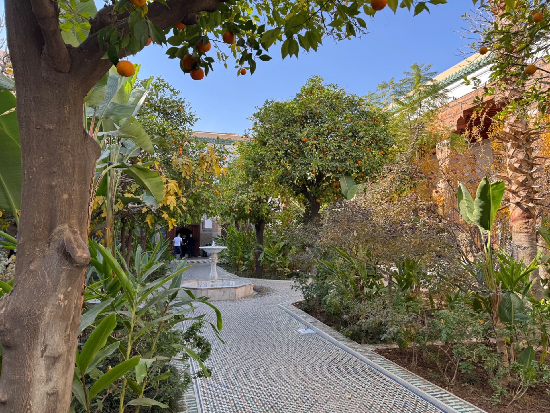 Dar el Bacha Museum