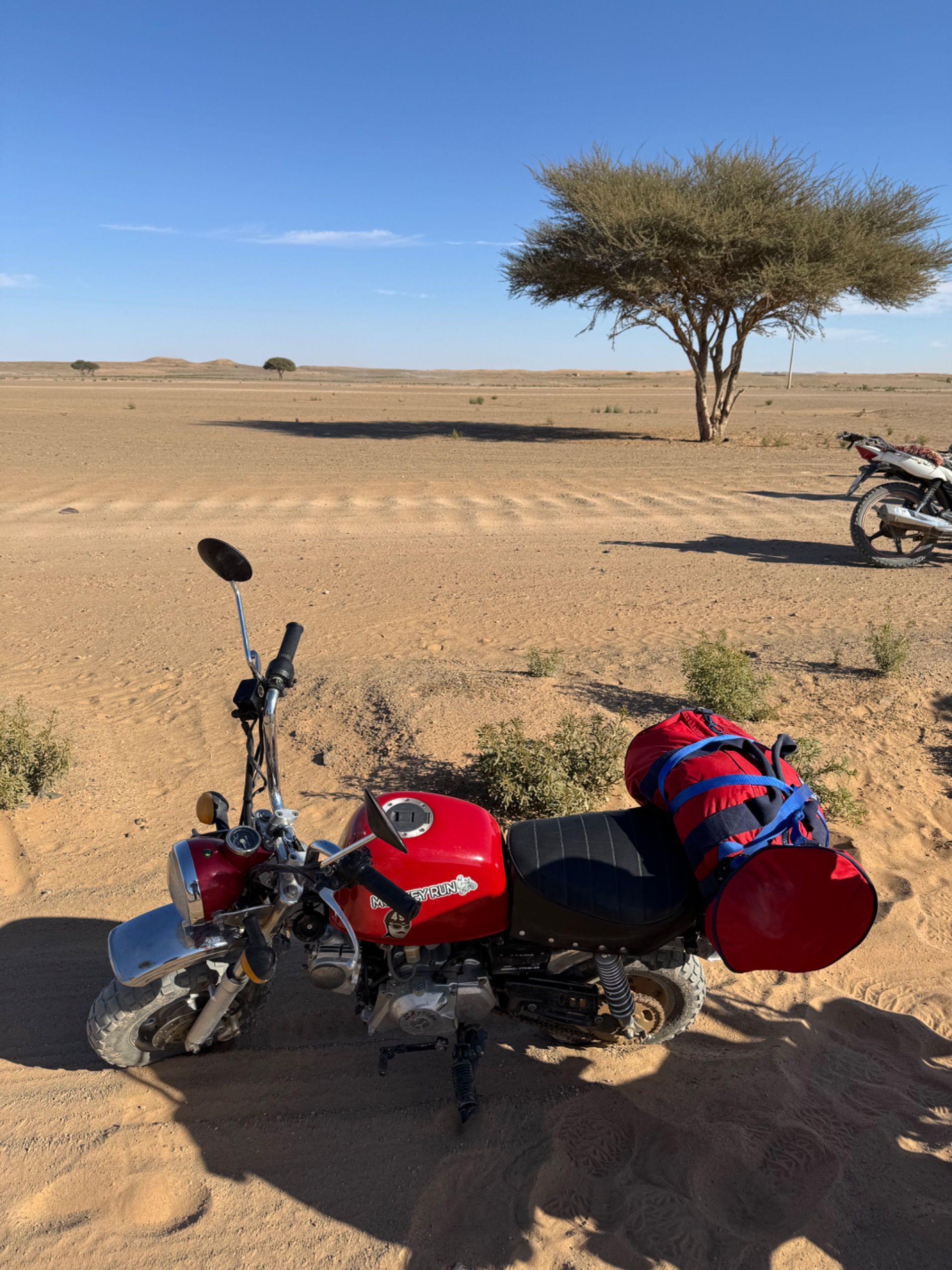 Stopped in the sand, 1 or 2km from the start