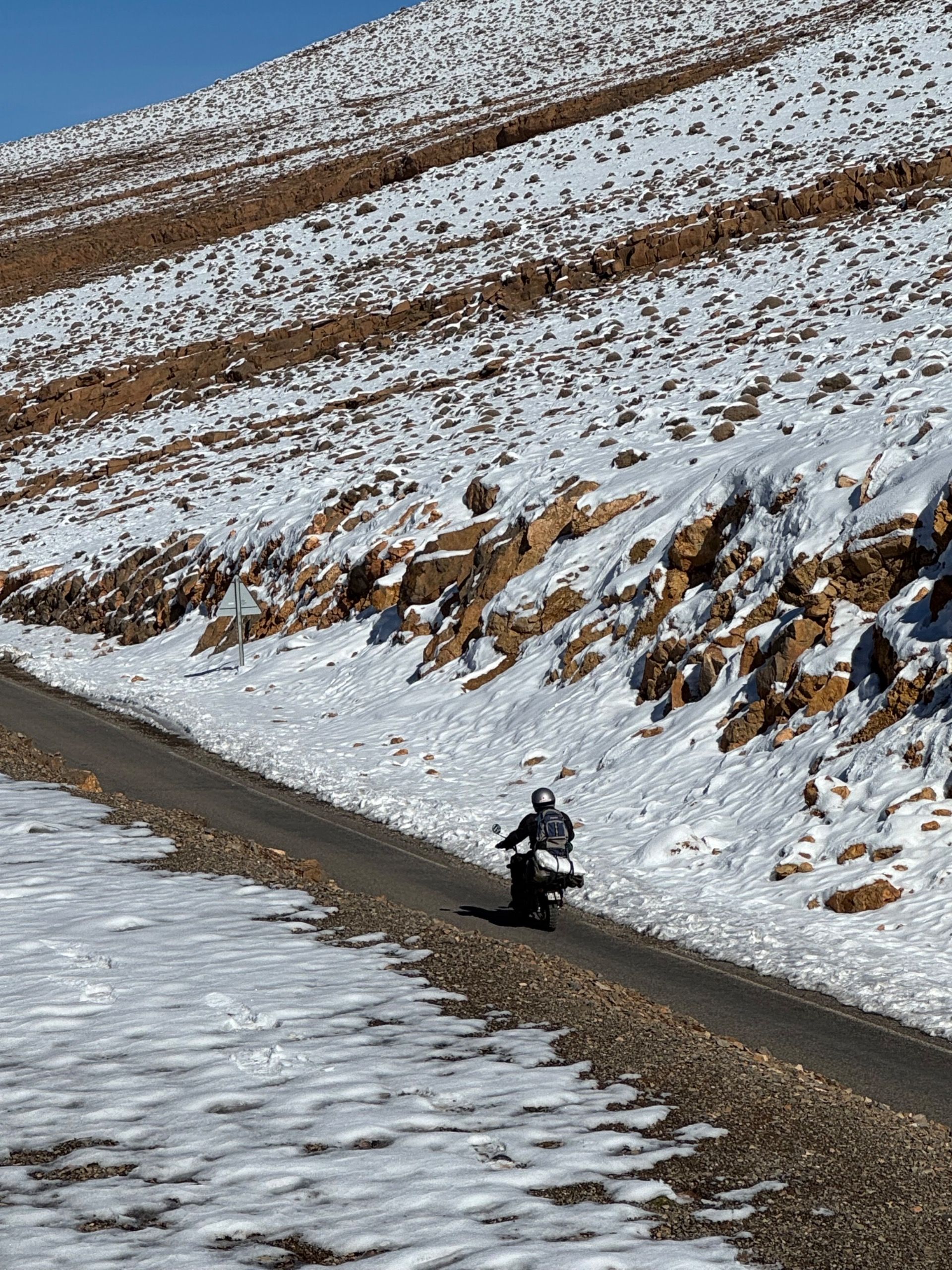 Monkeying around, day 3