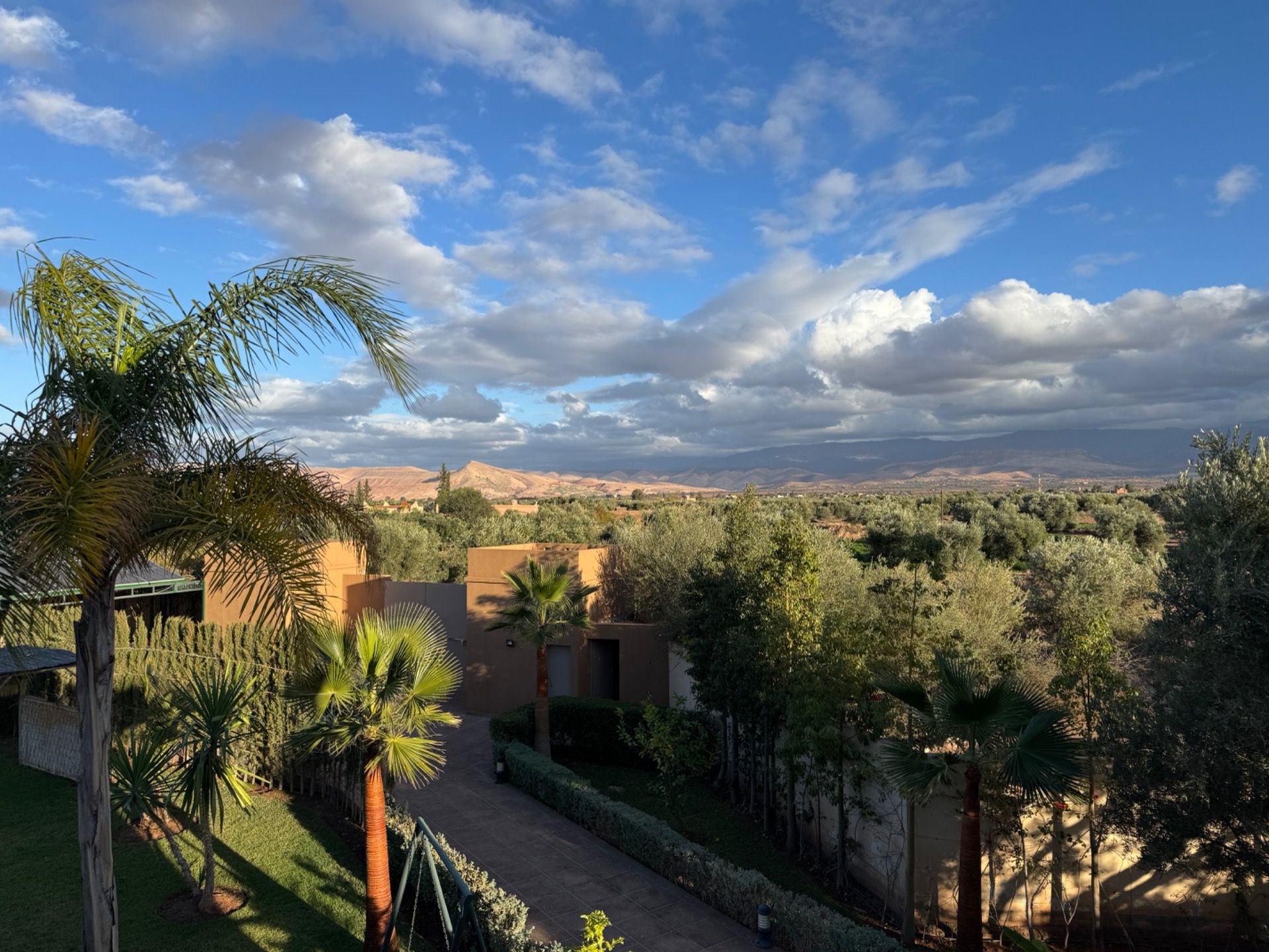 View from my balcony