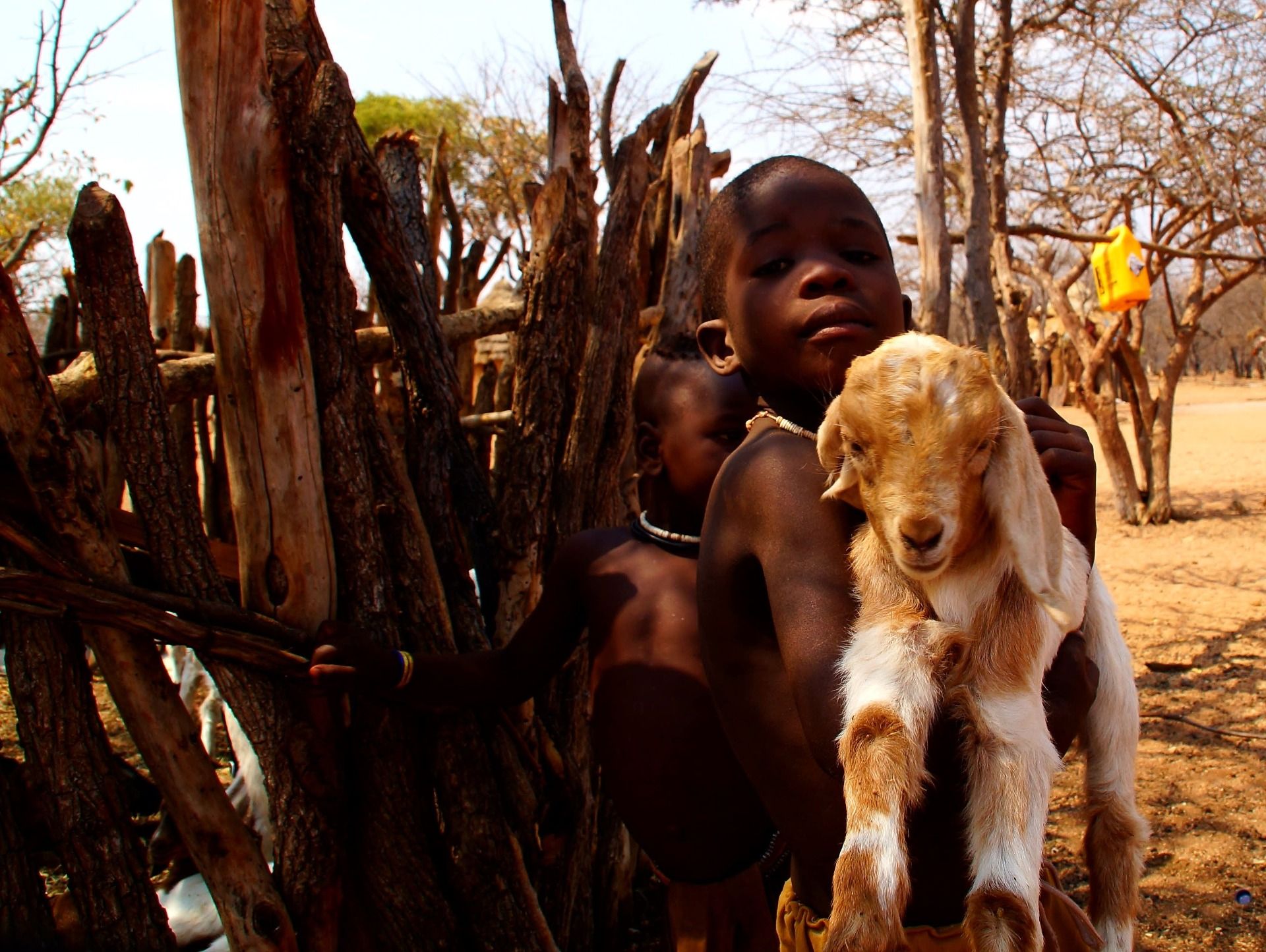 Goats are very improtant in their day life