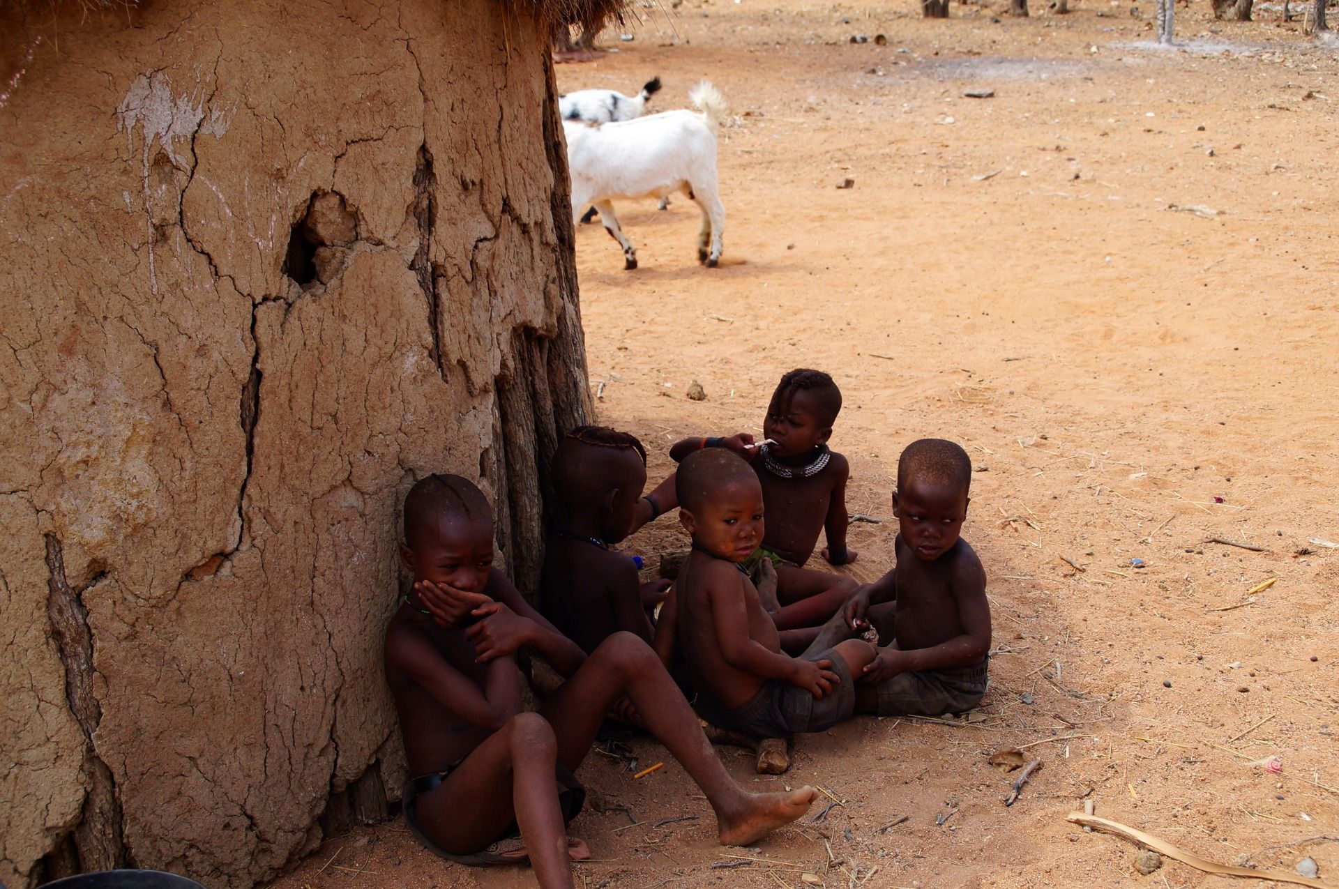 Resting in the shade