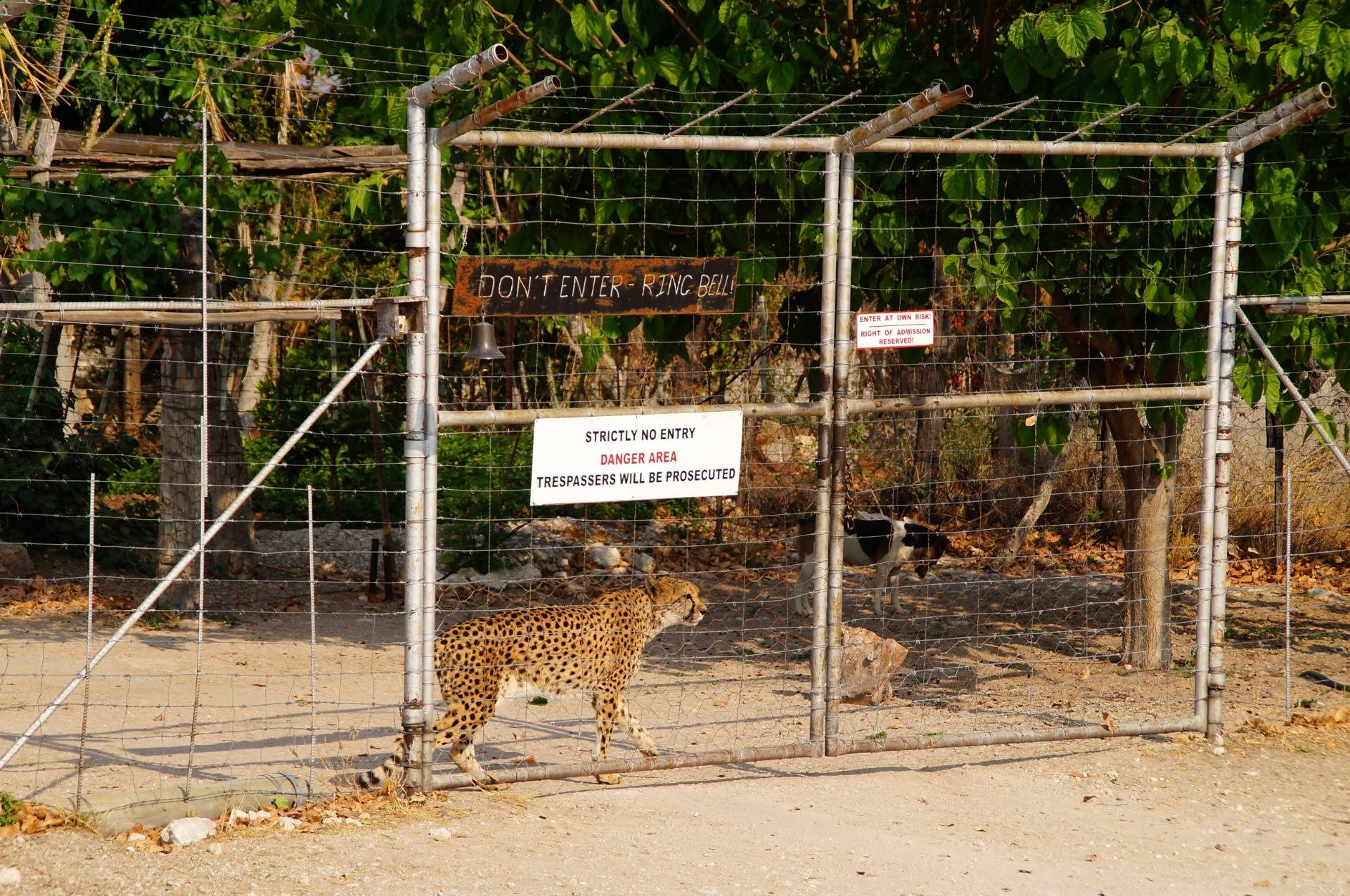 Why that many ”do not enter” signs? Who would dare to enter with cheetah guarding?