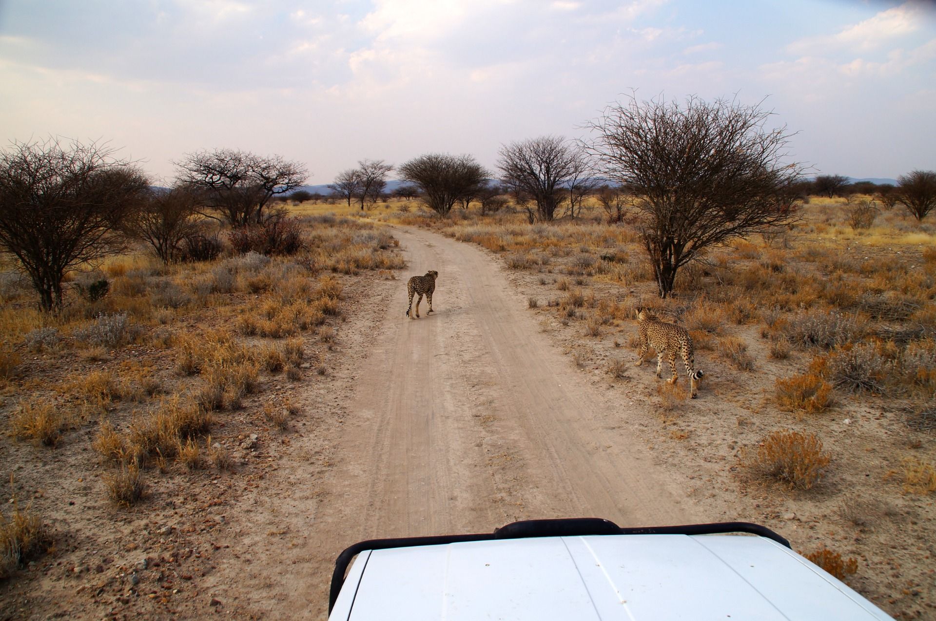 Soon they greeted us