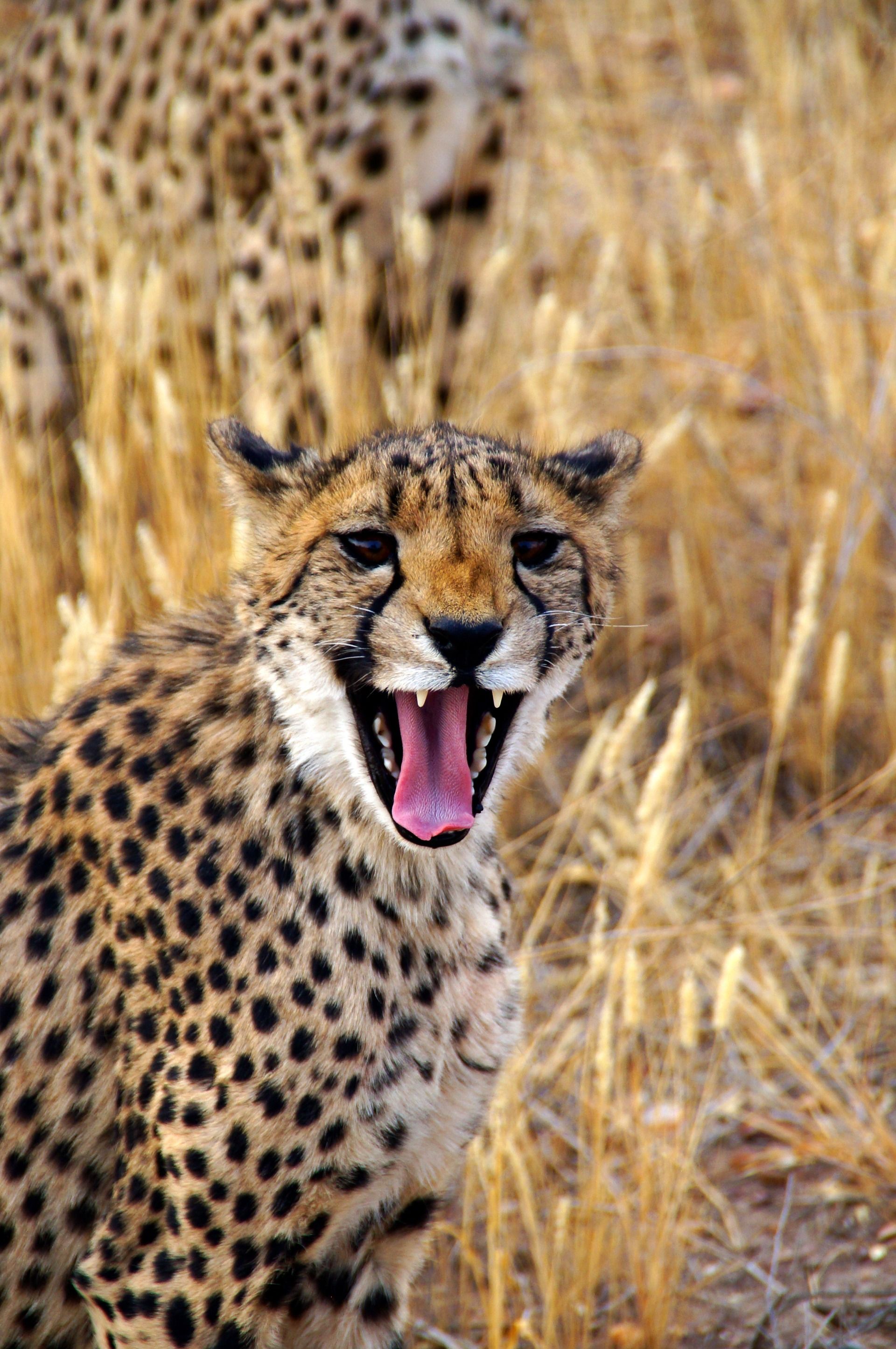 My travel story: Namibia Day 5 (Otjitotongwe) - Part 4 (38 photos)