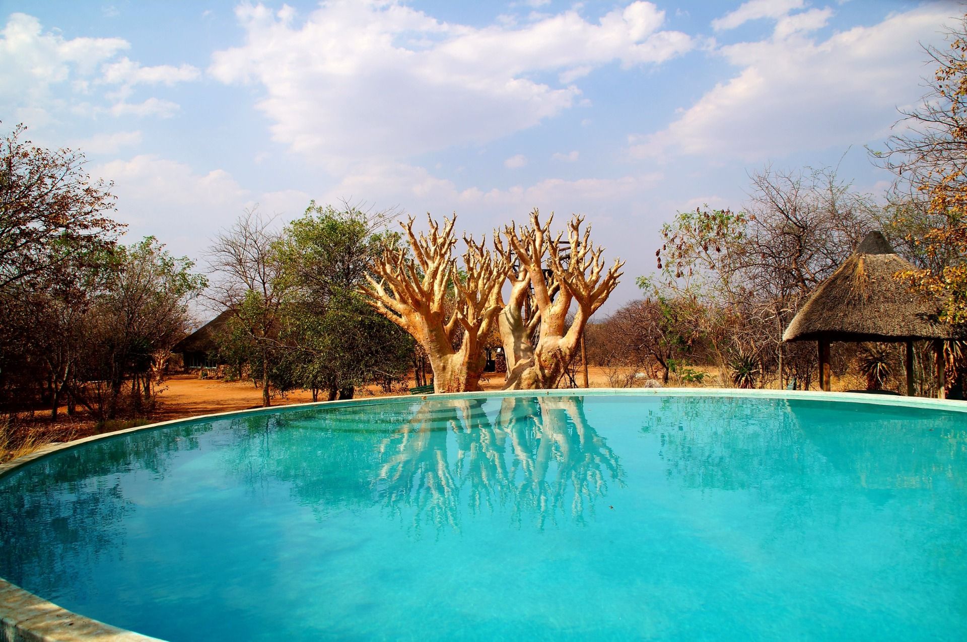 Pool again remained unused