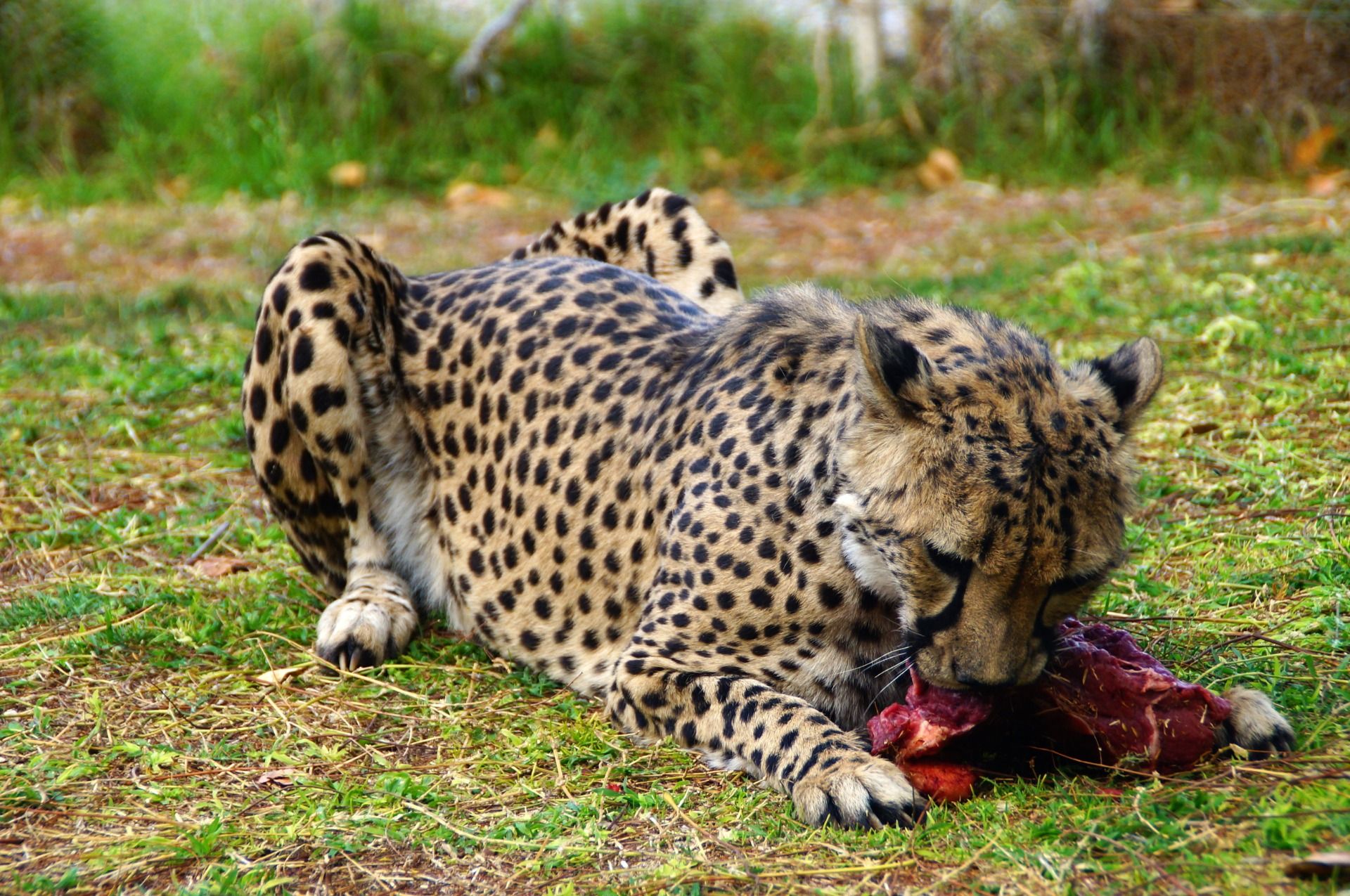 Thanks God I was not on the menu