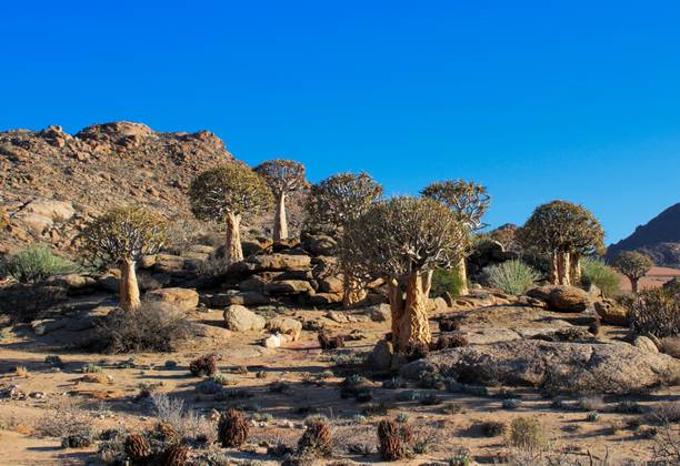 Place 3: December Holiday: A trip to the Kalahari - Part 1