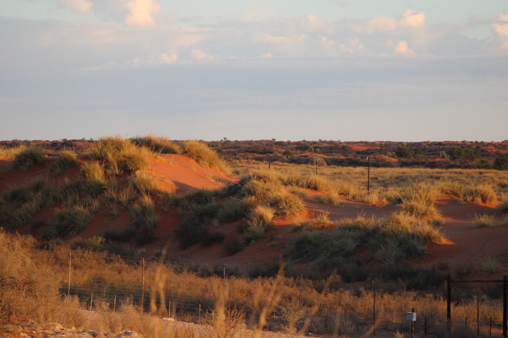 The red dunes nearing closer to the road.