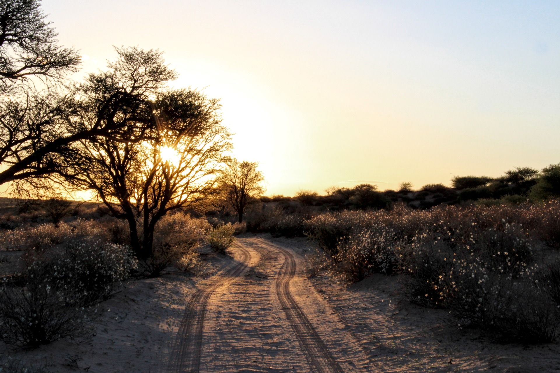 Sunset on the game drive.