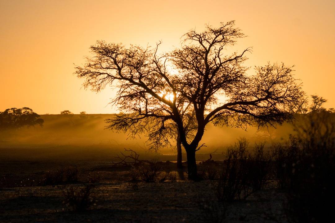 Kalahari Sunrise. (Photo: Vicky Garcia).