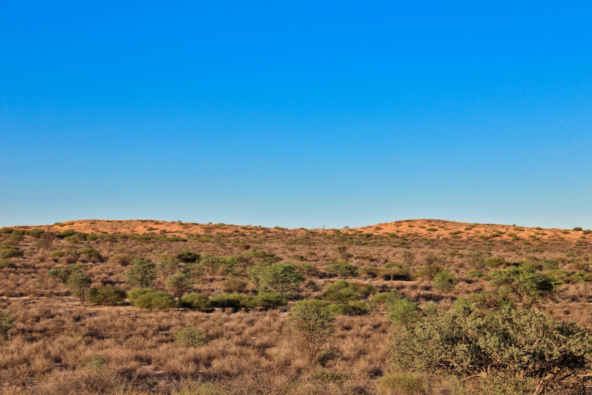 General scenery.