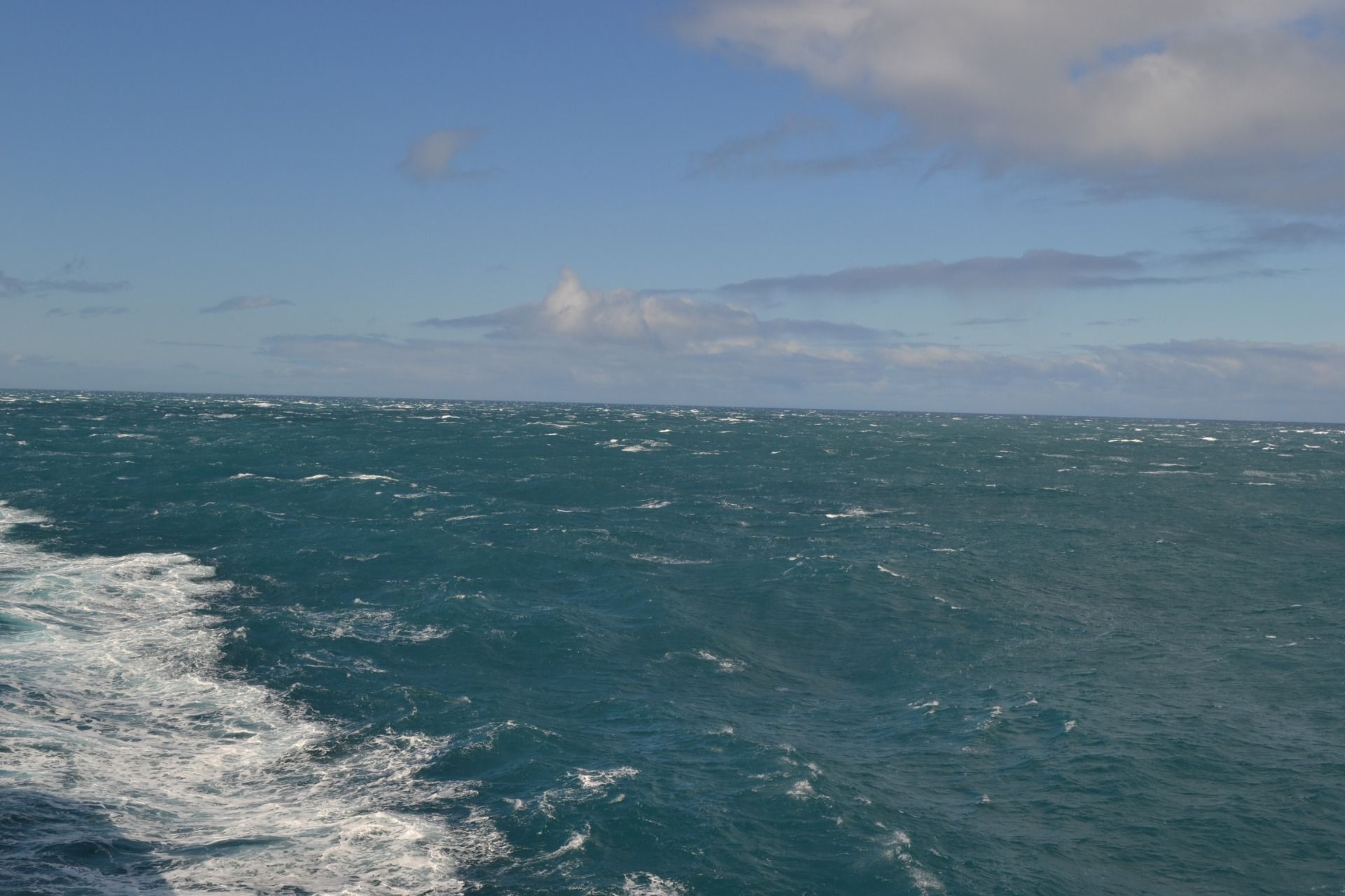 DSC_0006.JPG