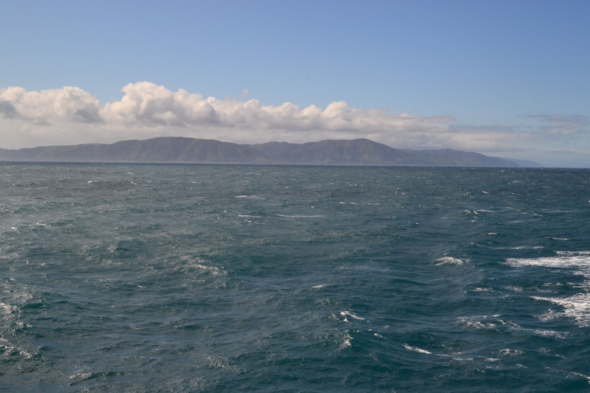 DSC_0014.JPG