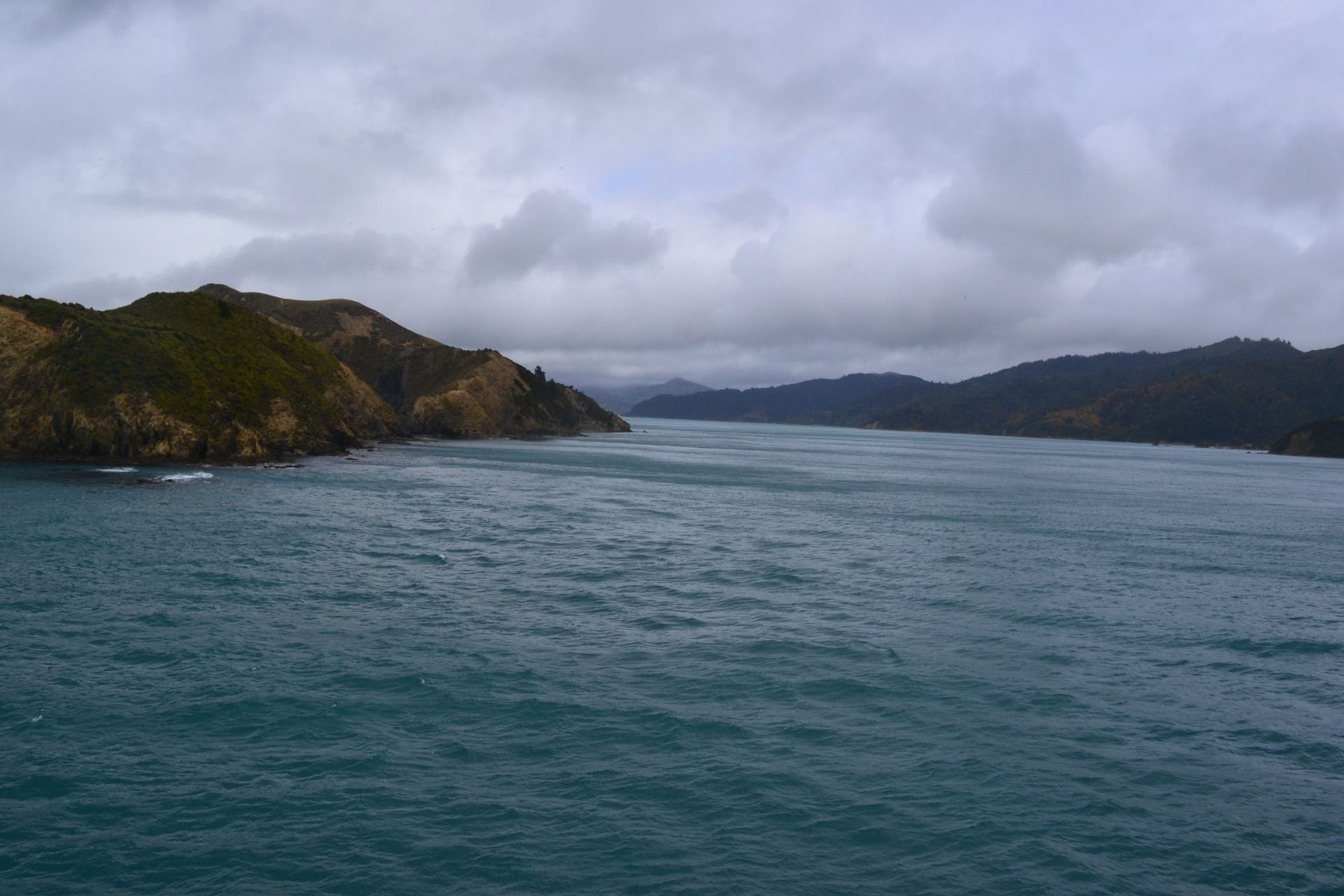 DSC_0023.JPG