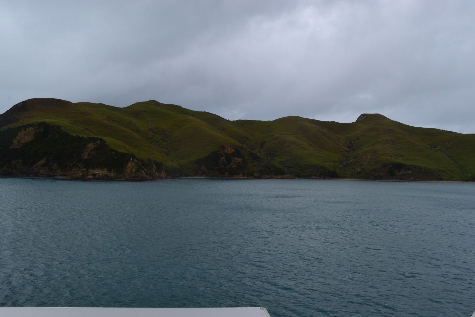 DSC_0031.JPG