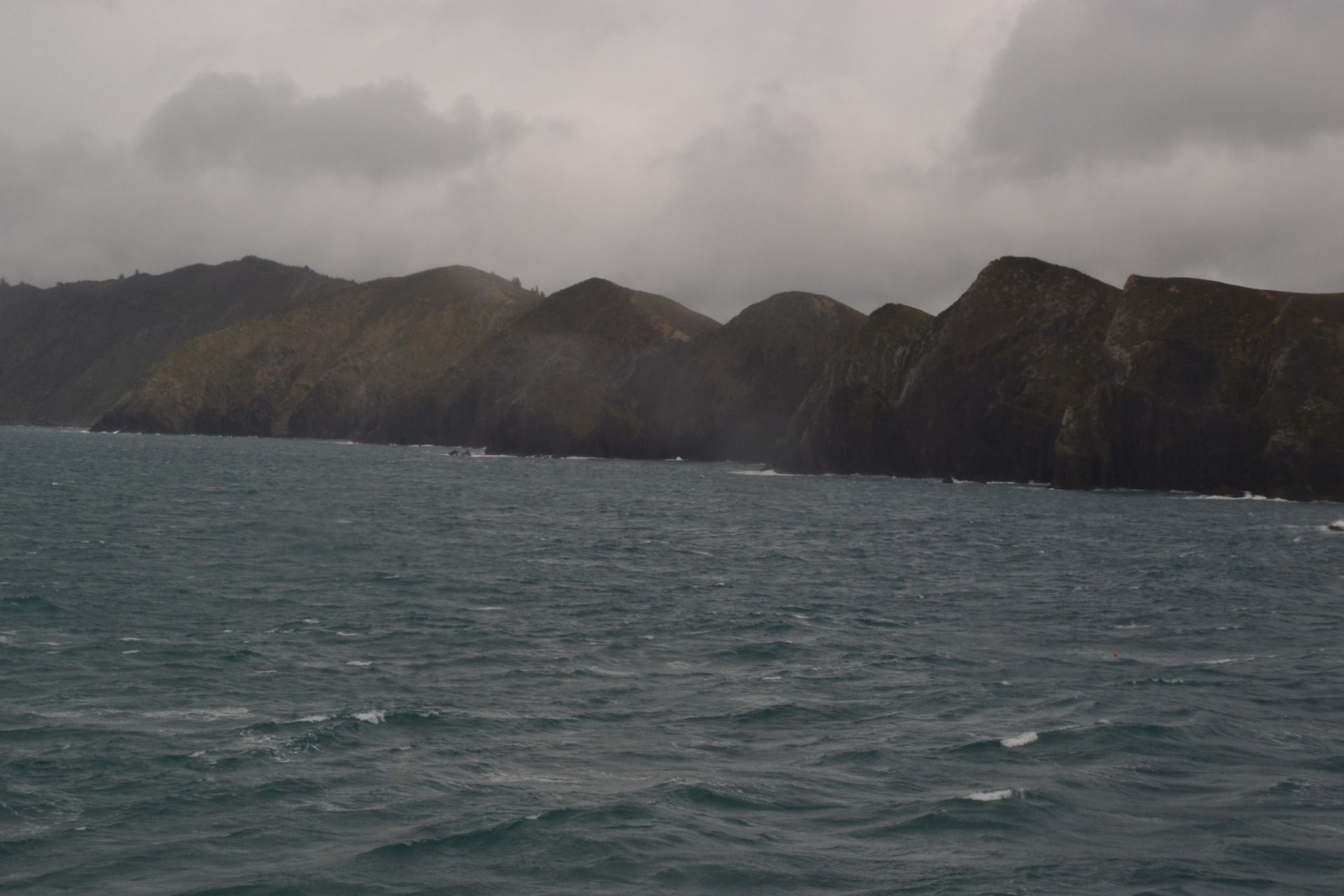 DSC_0020.JPG