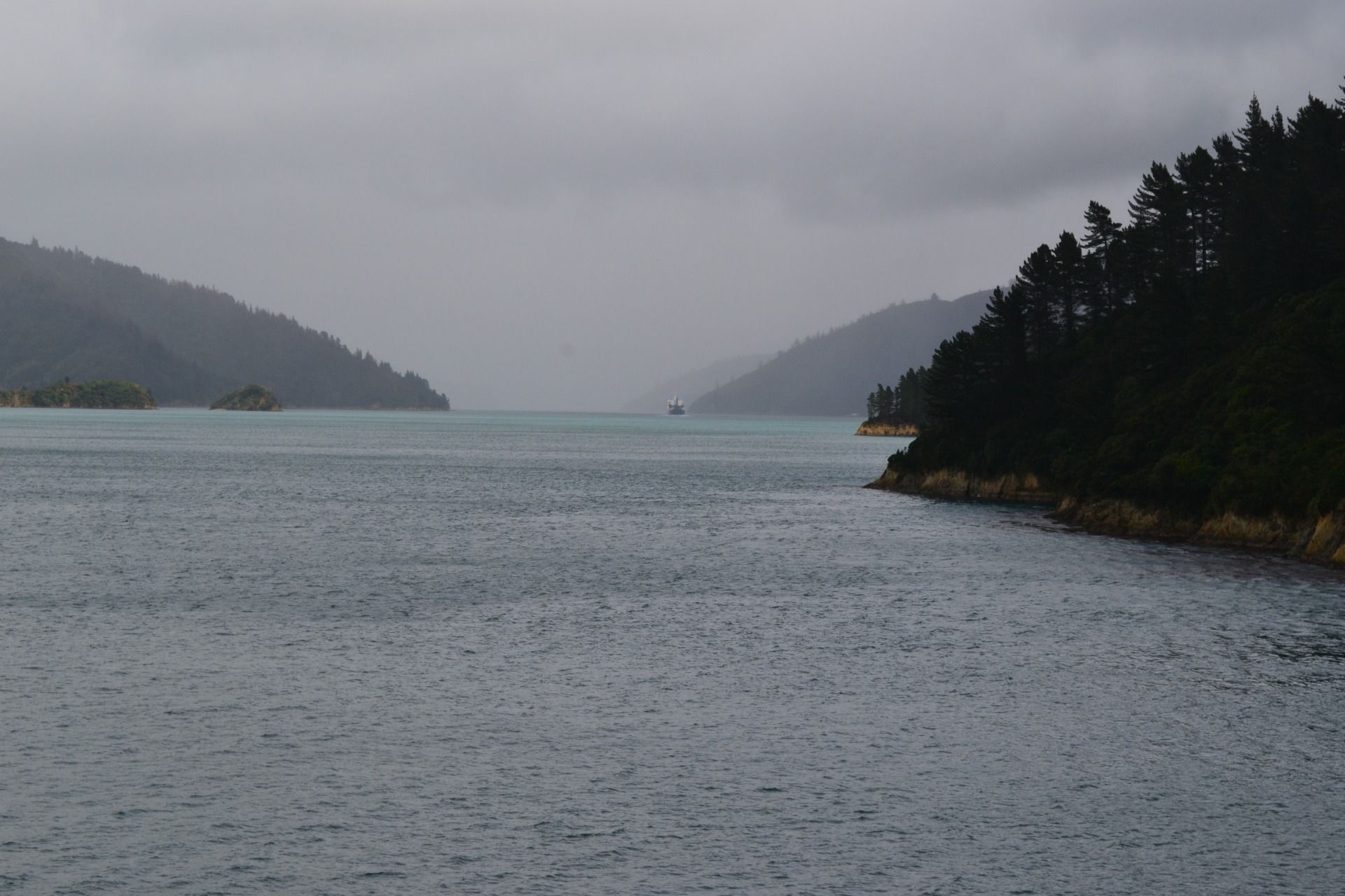 DSC_0043.JPG