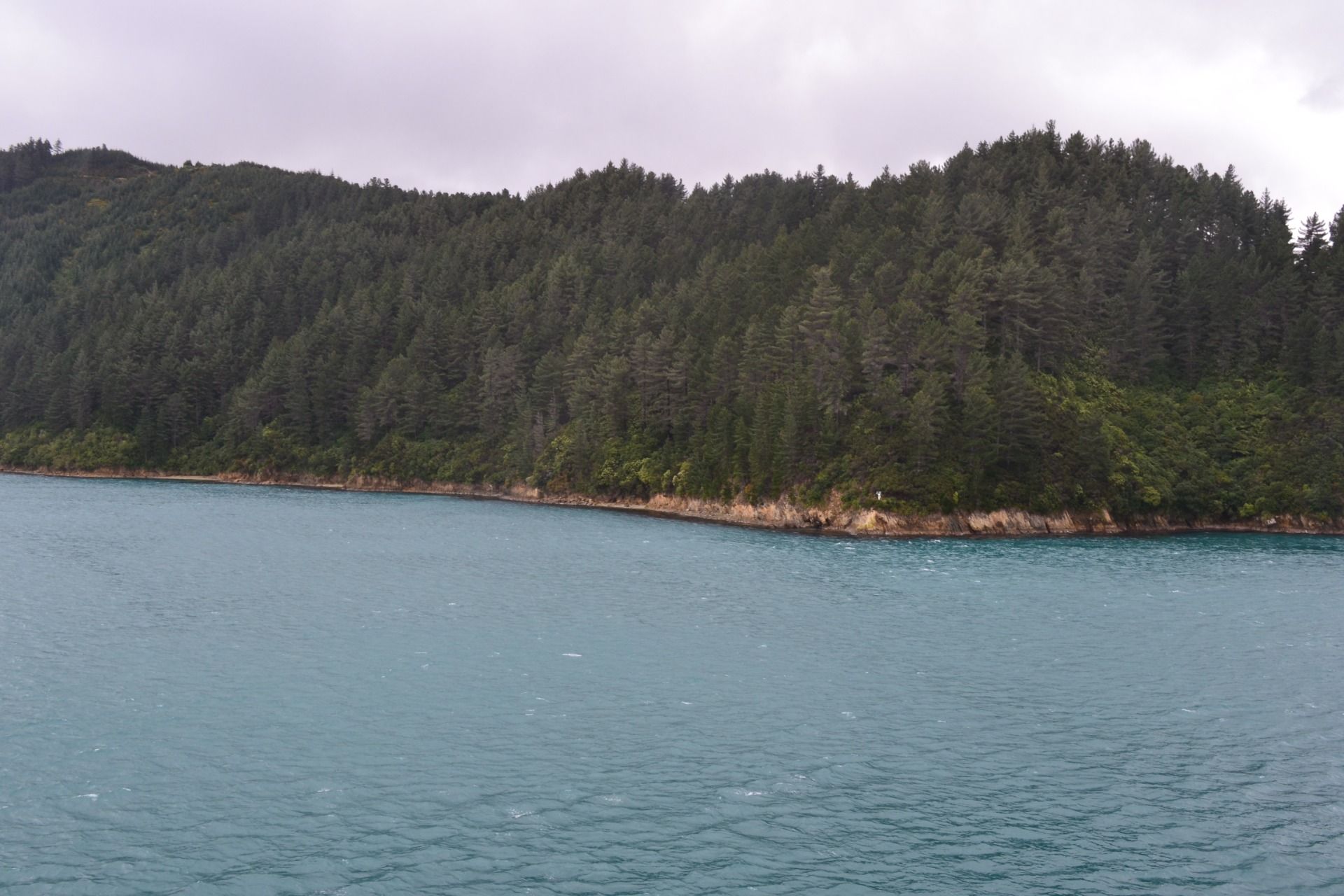 DSC_0046.JPG