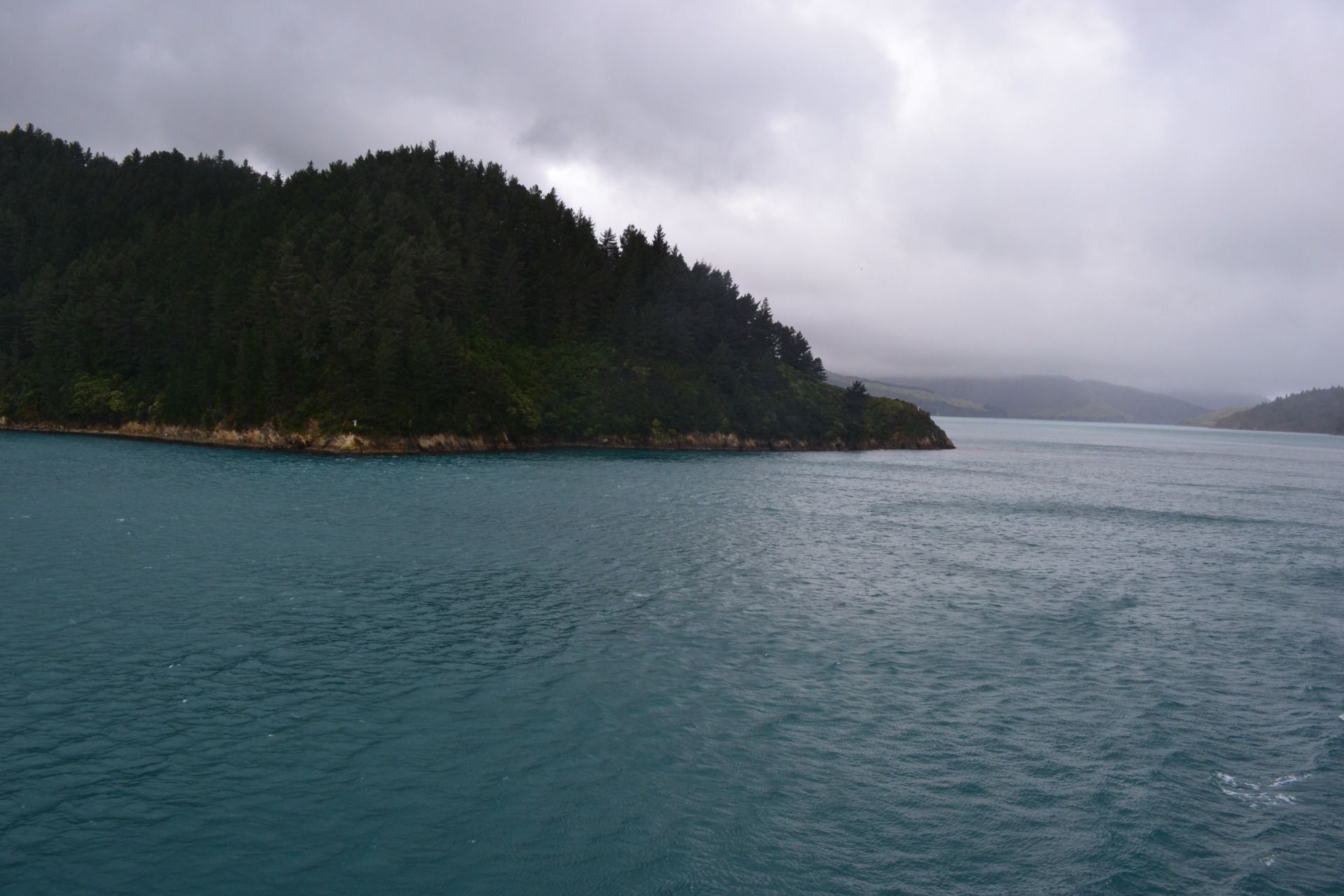 DSC_0047.JPG