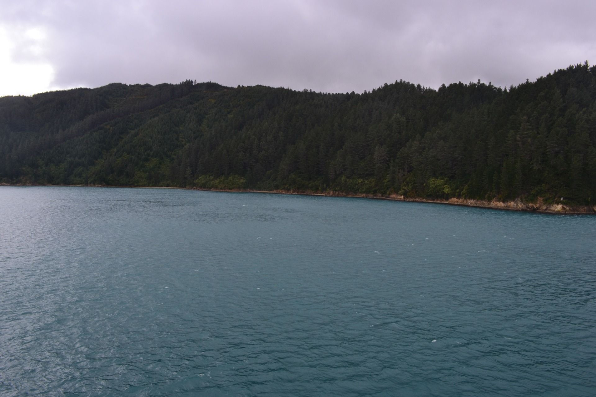 DSC_0048.JPG