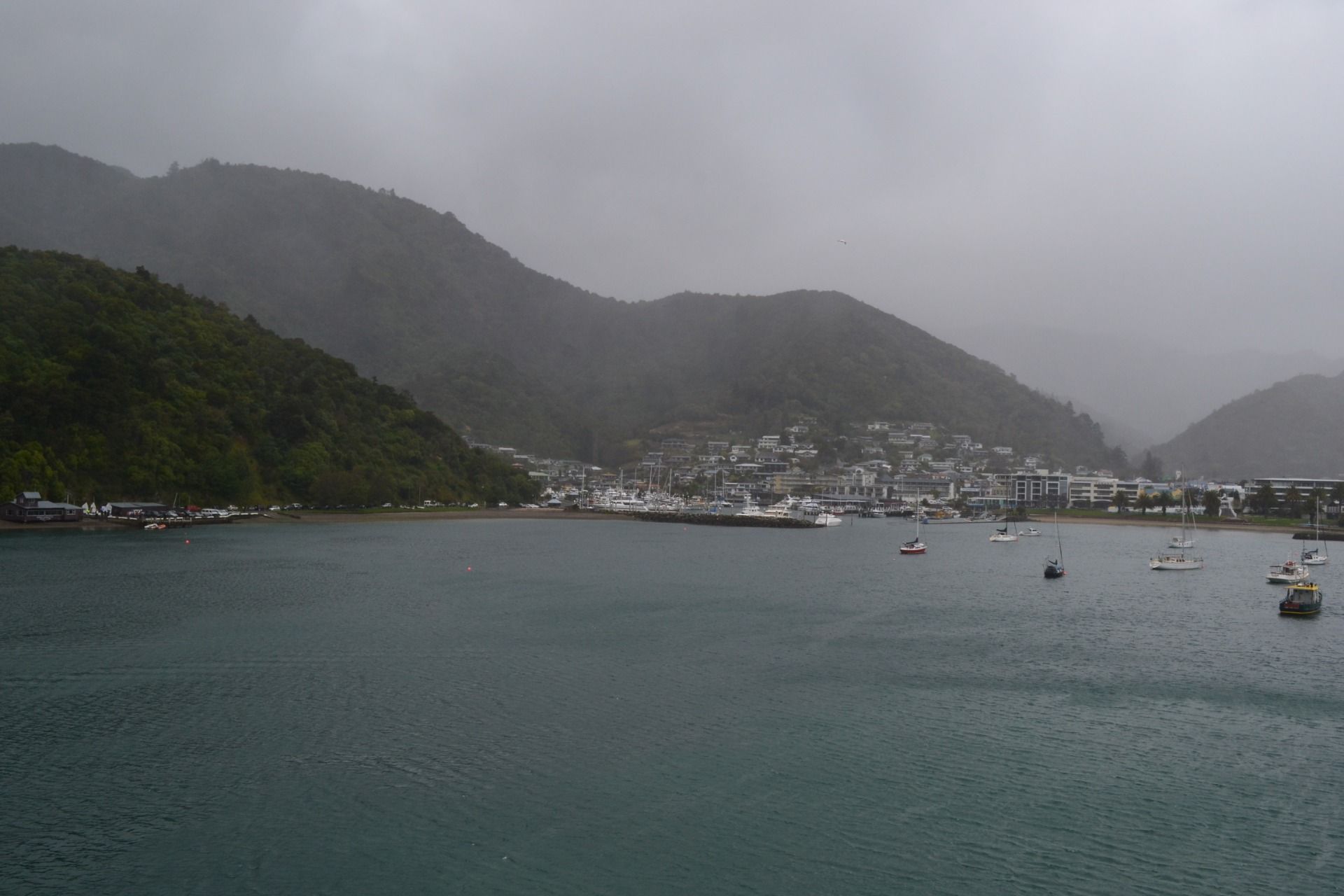 DSC_0055.JPG