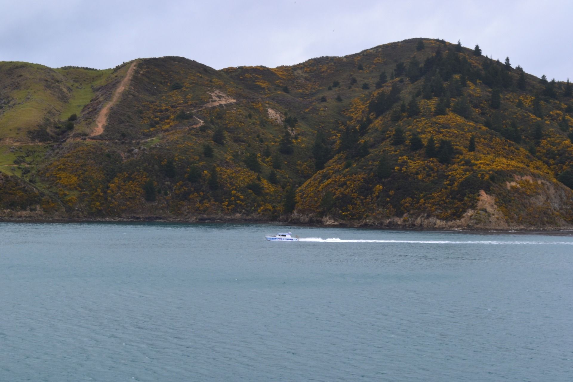 DSC_0035.JPG