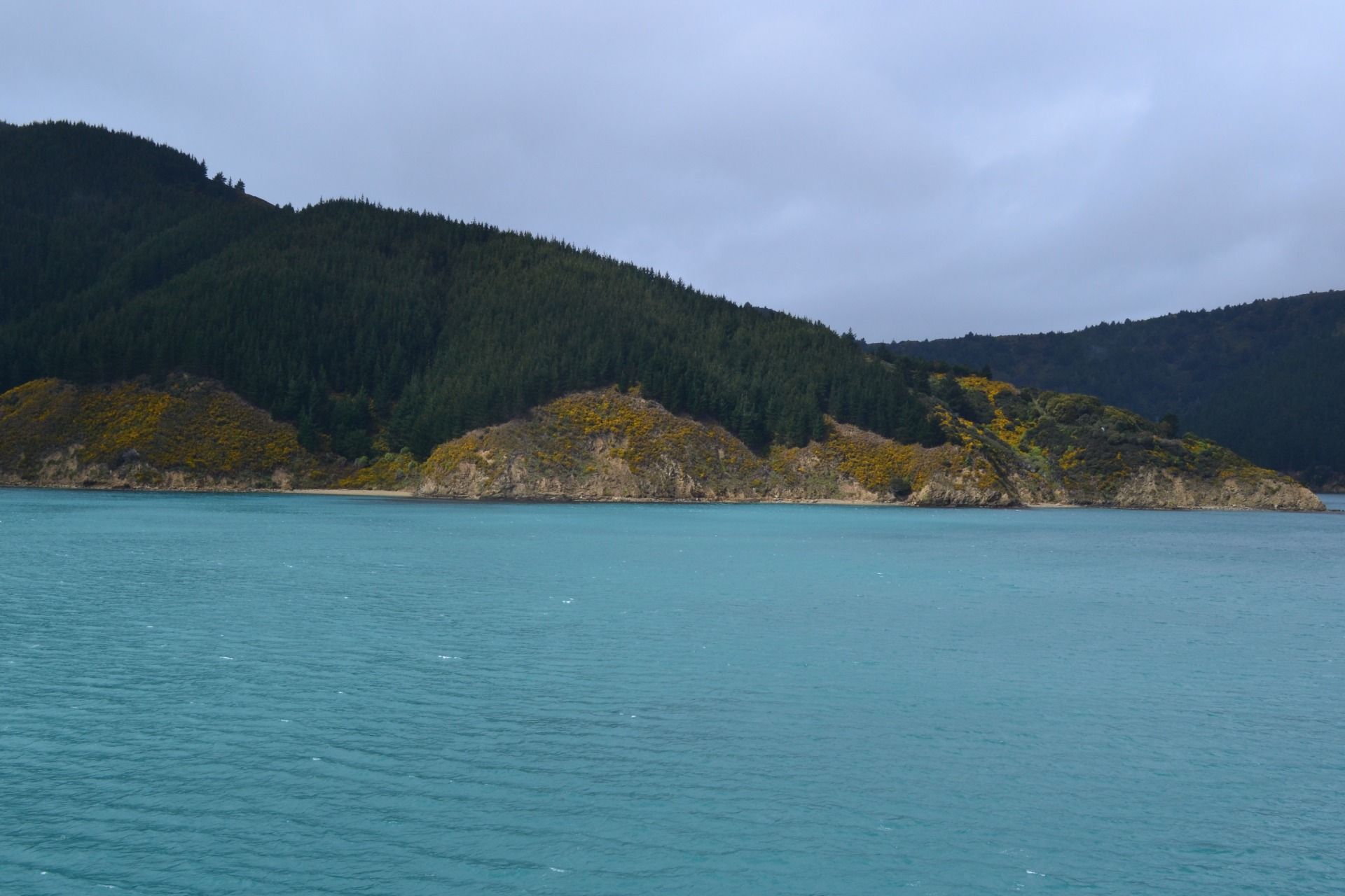 DSC_0037.JPG